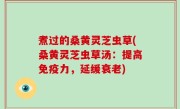 煮过的桑黄灵芝虫草(桑黄灵芝虫草汤：提高免疫力，延缓衰老)