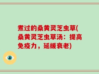 煮过的桑黄灵芝虫草(桑黄灵芝虫草汤：提高免疫力，延缓衰老)