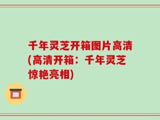 千年灵芝开箱图片高清(高清开箱：千年灵芝惊艳亮相)
