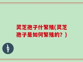 灵芝孢子什繁殖(灵芝孢子是如何繁殖的？)