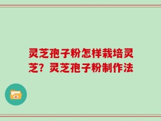 灵芝孢子粉怎样栽培灵芝？灵芝孢子粉制作法
