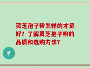 灵芝孢子粉怎样的才是好？了解灵芝孢子粉的品质和选购方法？