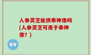 人参灵芝能供奉神像吗(人参灵芝可用于奉神像？)