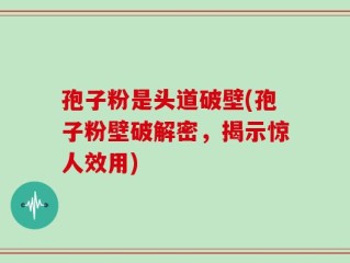 孢子粉是头道破壁(孢子粉壁破解密，揭示惊人效用)