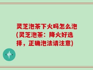 灵芝泡茶下火吗怎么泡(灵芝泡茶：降火好选择，正确泡法请注意)