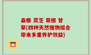 桑椹 灵芝 葛根 甘草(四种天然植物组合带来多重养护效益)