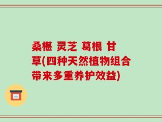 桑椹 灵芝 葛根 甘草(四种天然植物组合带来多重养护效益)