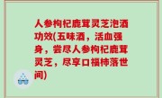 人参枸杞鹿茸灵芝泡酒功效(五味酒，活血强身，尝尽人参枸杞鹿茸灵芝，尽享口福柿落世间)