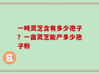 一吨灵芝含有多少孢子？一亩灵芝能产多少孢子粉