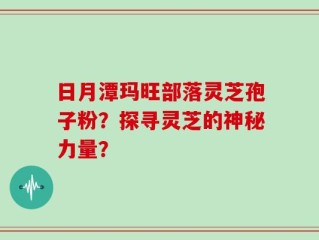 日月潭玛旺部落灵芝孢子粉？探寻灵芝的神秘力量？