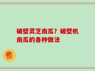 破壁灵芝南瓜？破壁机南瓜的各种做法