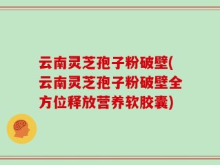 云南灵芝孢子粉破壁(云南灵芝孢子粉破壁全方位释放营养软胶囊)