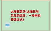 太阳花灵芝(太阳花与灵芝的匹配：一种新的养生方式)