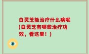 白灵芝能治疗什么病呢(白灵芝有哪些治疗功效，看这里！)