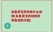 五色灵芝药材有什么功效(五色灵芝药材的药效及功效介绍)