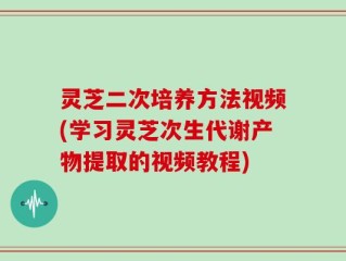 灵芝二次培养方法视频(学习灵芝次生代谢产物提取的视频教程)