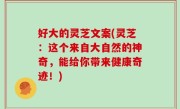 好大的灵芝文案(灵芝：这个来自大自然的神奇，能给你带来健康奇迹！)
