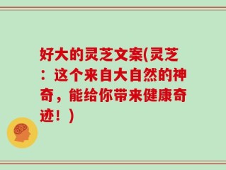好大的灵芝文案(灵芝：这个来自大自然的神奇，能给你带来健康奇迹！)