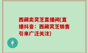 西藏卖灵芝直播间(直播抖音：西藏灵芝销售引来广泛关注)