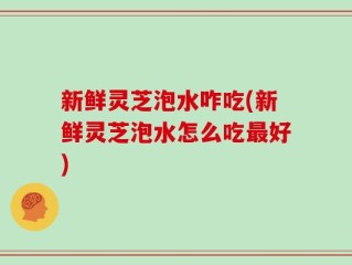 新鲜灵芝泡水咋吃(新鲜灵芝泡水怎么吃最好)