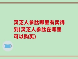 灵芝人参肽哪里有卖得到(灵芝人参肽在哪里可以购买)