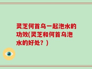 灵芝何首乌一起泡水的功效(灵芝和何首乌泡水的好处？)