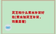 灵芝和什么煮水补肾好处(煮水加灵芝补肾，效果显著)