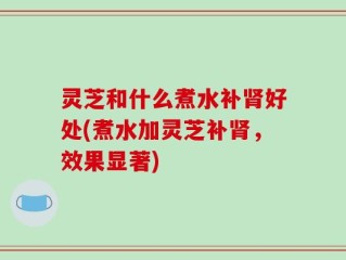 灵芝和什么煮水补肾好处(煮水加灵芝补肾，效果显著)