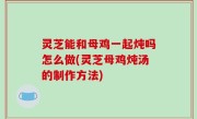 灵芝能和母鸡一起炖吗怎么做(灵芝母鸡炖汤的制作方法)