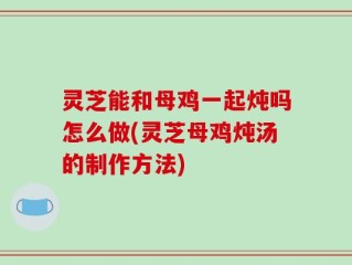 灵芝能和母鸡一起炖吗怎么做(灵芝母鸡炖汤的制作方法)
