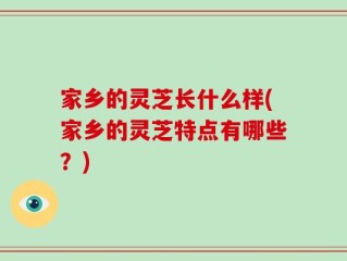 家乡的灵芝长什么样(家乡的灵芝特点有哪些？)