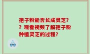 孢子粉能否长成灵芝？？观看视频了解孢子粉种植灵芝的过程？