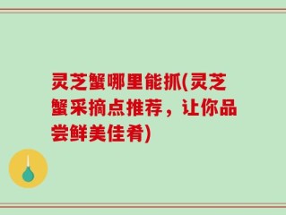 灵芝蟹哪里能抓(灵芝蟹采摘点推荐，让你品尝鲜美佳肴)