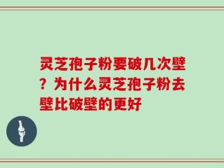 灵芝孢子粉要破几次壁？为什么灵芝孢子粉去壁比破壁的更好
