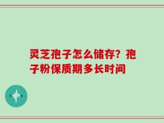灵芝孢子怎么储存？孢子粉保质期多长时间