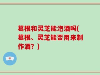 葛根和灵芝能泡酒吗(葛根、灵芝能否用来制作酒？)
