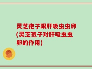 灵芝孢子跟肝吸虫虫卵(灵芝孢子对肝吸虫虫卵的作用)