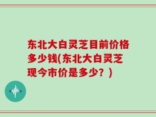 东北大白灵芝目前价格多少钱(东北大白灵芝现今市价是多少？)