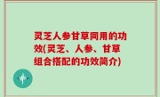 灵芝人参甘草同用的功效(灵芝、人参、甘草组合搭配的功效简介)