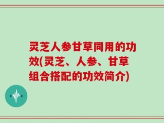 灵芝人参甘草同用的功效(灵芝、人参、甘草组合搭配的功效简介)