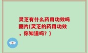 灵芝有什么药用功效吗图片(灵芝的药用功效，你知道吗？)