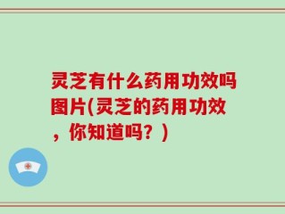 灵芝有什么药用功效吗图片(灵芝的药用功效，你知道吗？)