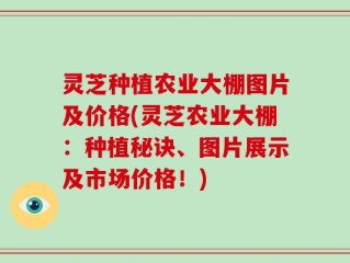灵芝种植农业大棚图片及价格(灵芝农业大棚：种植秘诀、图片展示及市场价格！)