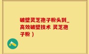 破壁灵芝孢子粉头到_高效破壁技术 灵芝孢子粉 )