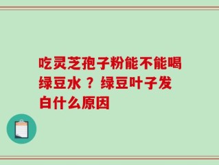 吃灵芝孢子粉能不能喝绿豆水 ？绿豆叶子发白什么原因