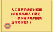 人工灵芝的培育过程图(培育高品质人工灵芝：一张步骤清晰的图告诉你如何做！)