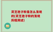 灵芝孢子粉是怎么发现的(灵芝孢子粉的发现历程简述)