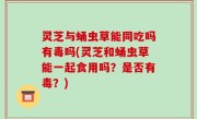 灵芝与蛹虫草能同吃吗有毒吗(灵芝和蛹虫草能一起食用吗？是否有毒？)