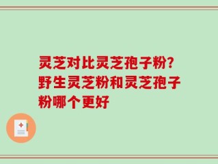 灵芝对比灵芝孢子粉？野生灵芝粉和灵芝孢子粉哪个更好