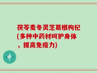茯苓麦冬灵芝葛根枸杞(多种中药材呵护身体，提高免疫力)